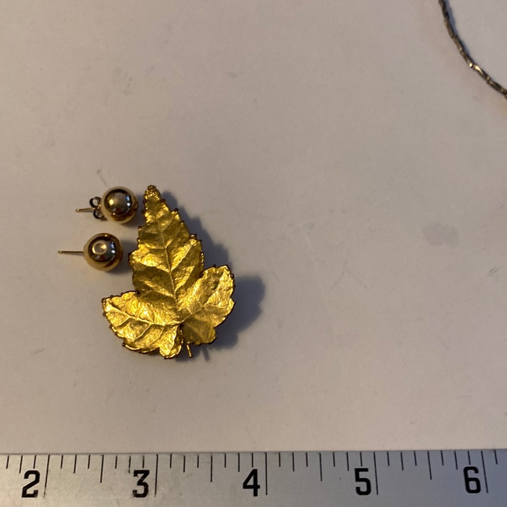 Leaf pin and earring